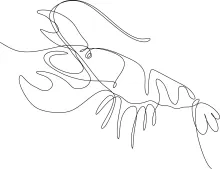 Learn One-Line Crayfish Drawing: Simple Way to Study Nature-Inspired Forms