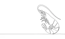 Simple One-Line Shrimp Drawing to Boost Hand-Eye Coordination and Creativity