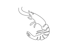 Master a Shrimp in One Line: Fun Way to Improve Drawing Focus and Control