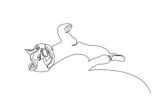 Feline Head in One Line – Simple and Cute Drawing for Beginners