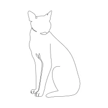 Sweet One Line Drawing of a Kitten to Build Gentle Drawing Skills