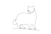 Easy One Line Cat Drawing for Beginners to Practice Basic Animal Shapes