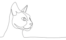 Single Line Cat Drawing – Practice Shape Recognition and Drawing Simplicity
