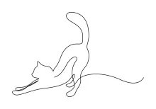 Learn to Draw a Cat in One Line – A Great Activity for Beginners and Kids