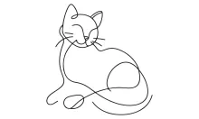 Learn to Draw a Cat Using One Line – Simple Steps for Artistic Growth