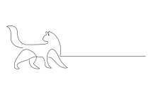 Simple Cat Drawing with One Line – Great for Relaxing and Creative Art Time