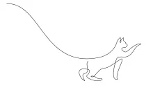  Line Cat Outline – A Simple Art Exercise for Mindful Creativity