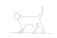  Line Drawing of a Cat Walking Indoors – Learn Movement with Simple Lines