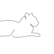  Line Cat Drawing for Kids and Adults – Learn to Create with Confidence
