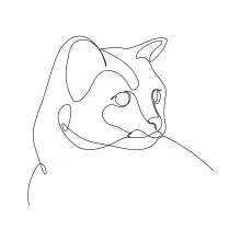  Line Drawing of Happy Cats: Fun and Easy for All Ages to Practice Emotion