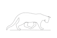 Draw a Cat Walking Down in One Line: Practice Balance and Direction in Art