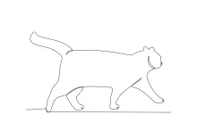 One Line Drawing of a Fast-Walking Cat: Learn Motion and Shape with Simple Art