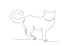 Draw a Cat with Long Tail in One Line: Practice Line Flow and Shape Recognition