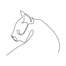 Basic One Line Cat Drawing: Learn Shape and Balance in Animal Art