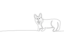 One Line Drawing of a Corgi: Practice Short-Legged Dog Shapes with Simple Lines