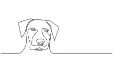 Easy Dog Outline: One-Line Drawing for Animal Lovers