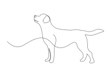 Learn to Draw a Dog in One Line: A Fun and Easy Drawing Exercise