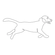 Dog in One Line: A Relaxed Drawing Practice for All Ages