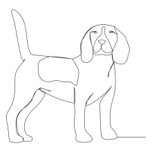 Learn to Draw a Dog in One Line: A Minimal Approach to Animal Art