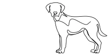 One Line Dog Drawing: Fun Art Activity for Pet Lovers