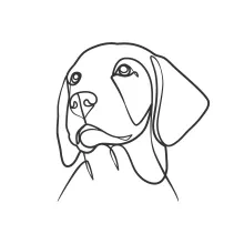 "Continuous Line Dog Head Sketch: A Simple Technique to Capture Pet Features"