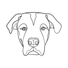Dog’s Head in One Line: Learn to Draw Pet Faces with Simple Shapes