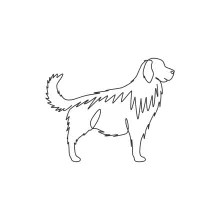 One Line Golden Retriever: Kind Dog in a Simple Sketch
