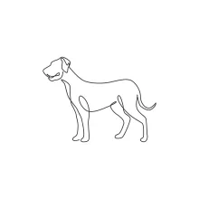 "One Line Great Dane Illustration: Capturing Majesty and Presence with Minimalist Techniques"