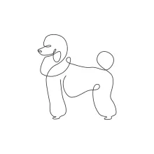 One Line Poodle Sketch: Fancy Dog with Simple Curves