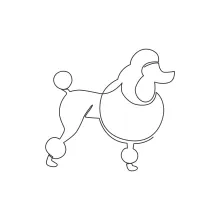 "One Line Poodle Puppy Drawing: Capturing Elegance and Playfulness with Minimalist Art"
