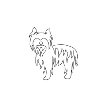 Yorkshire Terrier One Line Drawing: Petite Dog with Big Personality