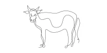 Simple One-Line Bull Sketch to Build Drawing Skills and Confidence