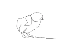 Draw a Chick in One Line: Quick Bird Drawing Practice for Young Artists