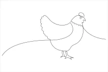 Simple One-Line Chicken Art: Draw Farm Birds with Confidence and Clarity