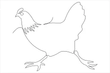 Learn to Draw a Chicken in One Line: Build Drawing Skills with Farmyard Animals