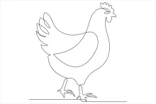 Easy One-Line Chicken Drawing: Simple Bird Art for Learning and Skill Building