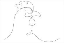 One-Line Chicken Sketch: Simple Drawing Activity for Bird-Loving Beginners