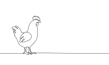 One-Line Chicken Drawing: Learn Easy Farm Animal Sketching