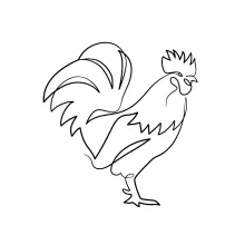 One-Line Rooster Drawing Tutorial: Practice Farm Bird Art with Simple Lines