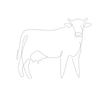 Simple Cow Drawing Using One Line: Learn Structure and Shape in Animal Art