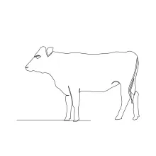 Draw a Cow with One Line: Great for Practicing Animal Proportions and Shapes