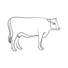 One-Line Cow Drawing: Easy Farm Animal Art for Beginners
