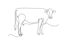 Learn Cow Drawing in One Line: Easy Practice for Animal Drawing Beginners