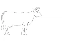 Cow Drawing in One Line: Build Sketching Skills with a Familiar Farm Animal