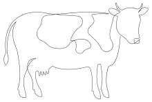 Farm Cow Drawing in One Line: Simple Art Practice for Animal Recognition Skills