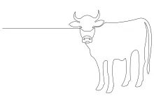 One-Line Drawing of a Cow: Perfect Farm Animal Practice for Beginner Artists