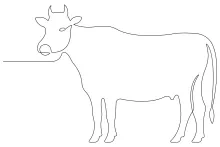 One-Line Drawing of a Cow: Simple Art Exercise for Daily Drawing Habits