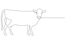 One-Line Cow Drawing Tutorial: Learn Farm Animal Forms with Simple Techniques