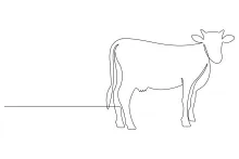 One-Line Cow Drawing for Art Practice: Build Confidence with Simple Animal Shapes