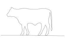 Learn to Draw a Cow in One Line: Practice Big Shapes with Farm Animals